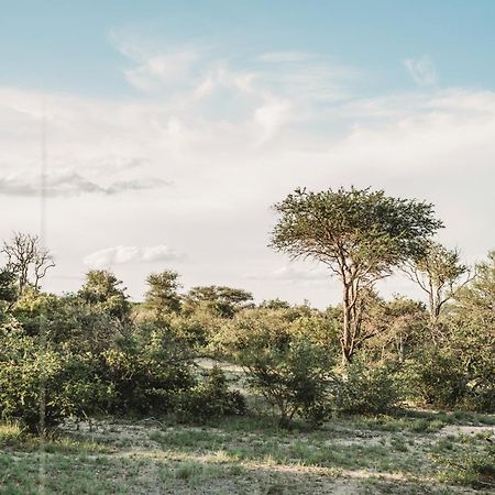 Maroelani Lodge- Greater Kruger Private Reserve 侯斯普瑞特 外观 照片