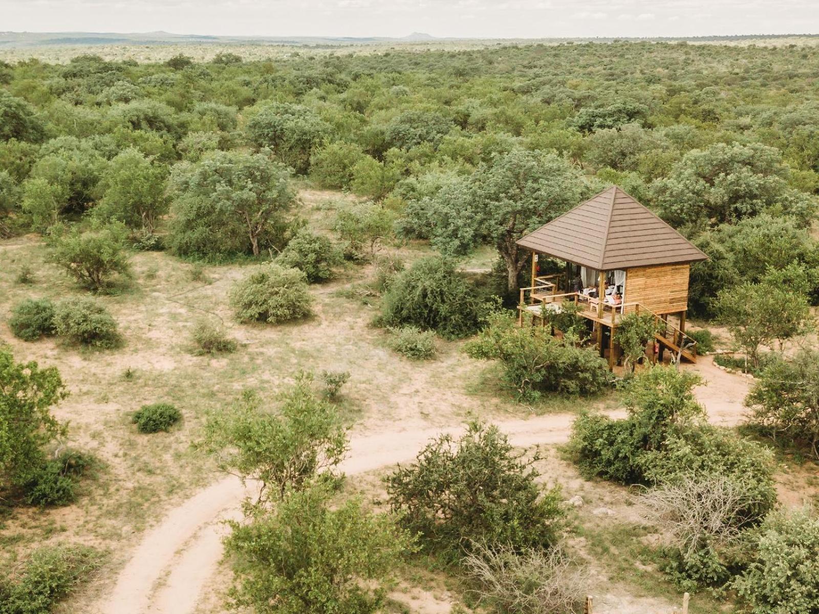 Maroelani Lodge- Greater Kruger Private Reserve 侯斯普瑞特 客房 照片