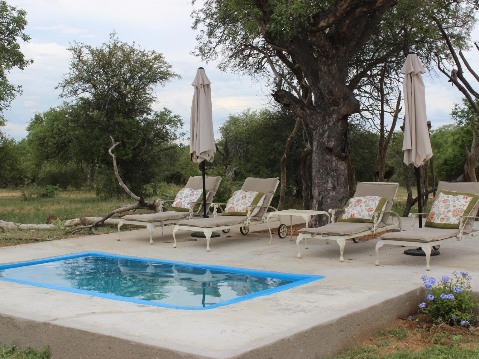 Maroelani Lodge- Greater Kruger Private Reserve 侯斯普瑞特 客房 照片