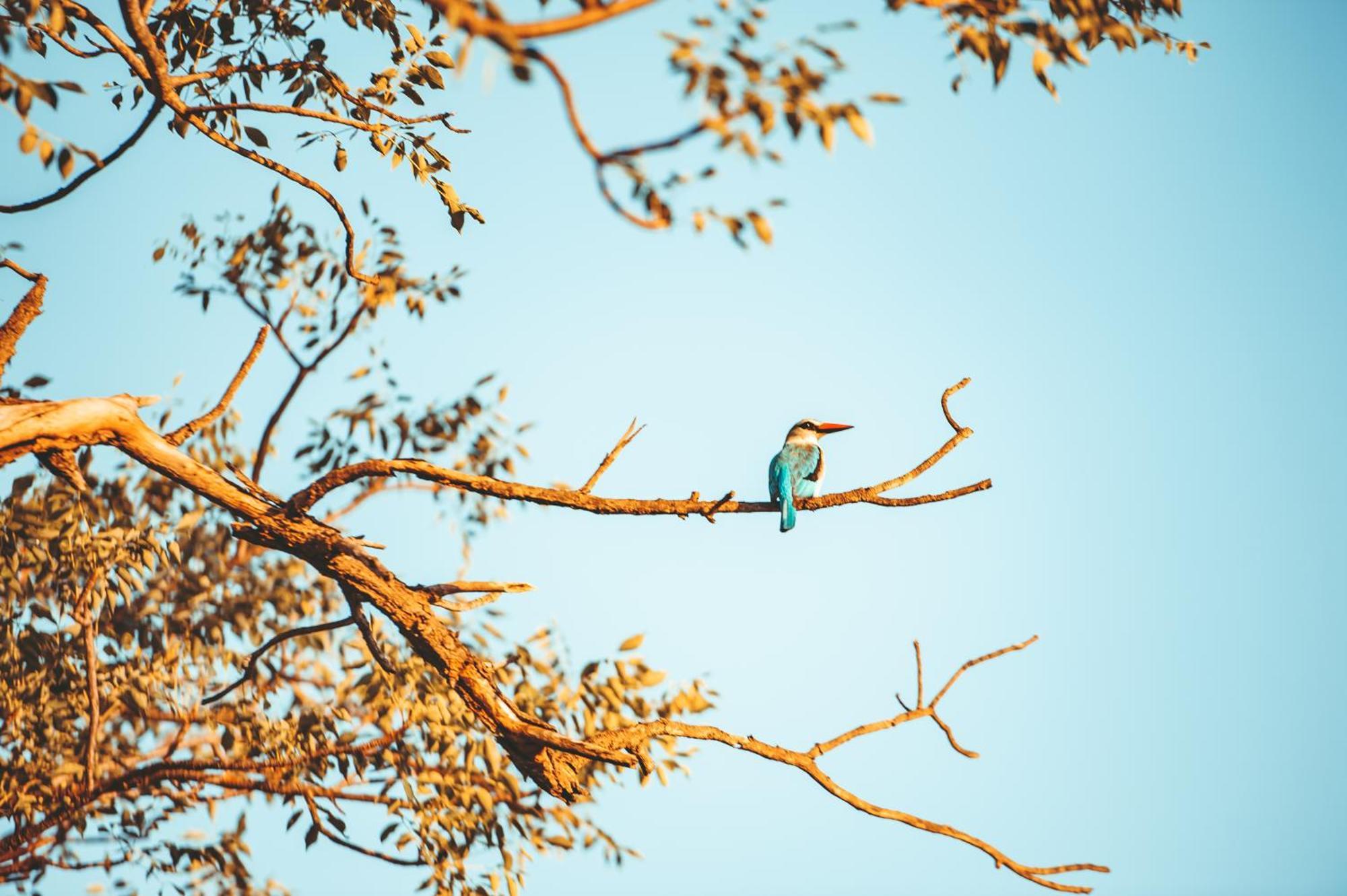 Maroelani Lodge- Greater Kruger Private Reserve 侯斯普瑞特 外观 照片