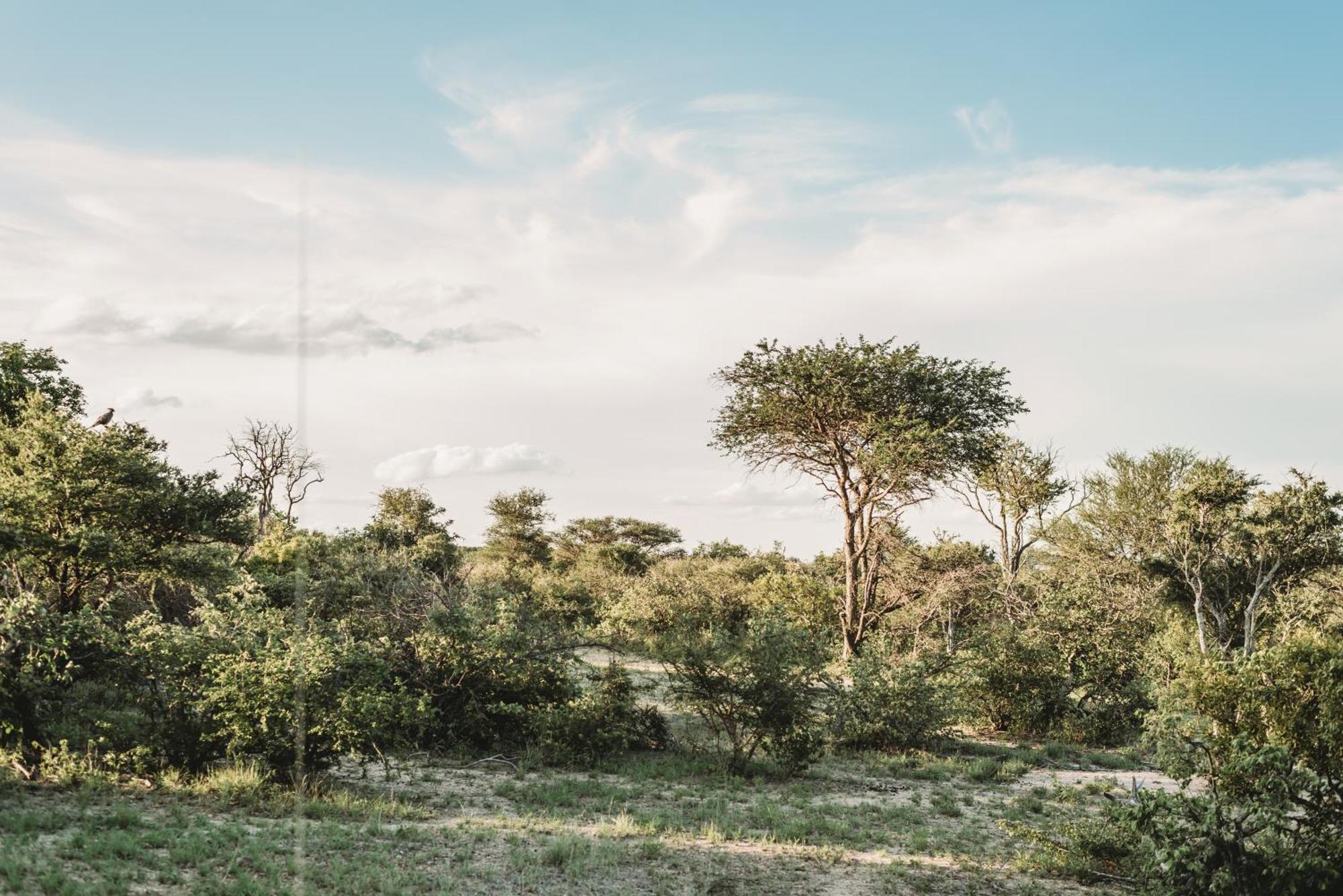 Maroelani Lodge- Greater Kruger Private Reserve 侯斯普瑞特 外观 照片